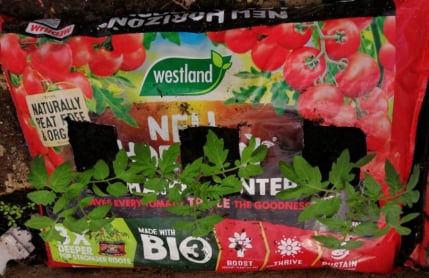 Turf and Topsoil Worcester